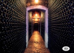 Bodega Pirineos