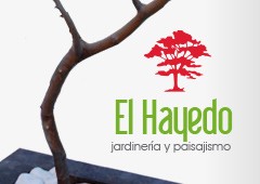 El Hayedo Jardineria Y Paisajismo