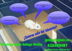 Julian Gallego Revilla