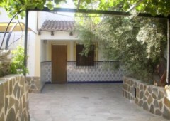 Casicas Rojas