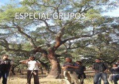 La CaÑa Del Corchuelo