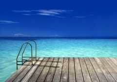 Tropicana Voyages