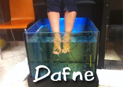 Centre D Estetica Dafne 