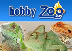 Hobby Zoo Mostoles David Flores 