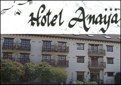 Hotel Anaya *** 