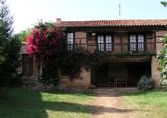 Apartamentos Padruno 
