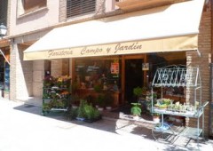 Floristeria Campo Y Jardin