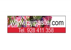 Floristeria Tajinaste Hospital Doctor Negrin, Loca