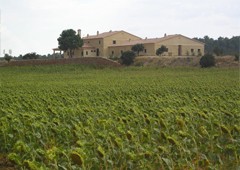 Hotel Restaurante El Romeral 