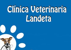 Clinica Veterinaria Landeta