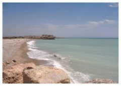Camping Playa Costa De Levante