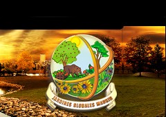Jardines Globales - Jardines Y Mantenimiento / Rehabilitacion Y Reformas En General
