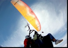 Tenerfly