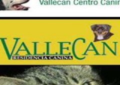 Centro Canino Vallecan Residencia De Animales