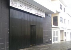 Jacaranda La Palma