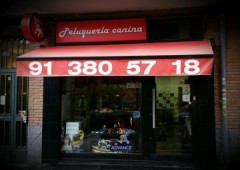 Peluqueria Canina Calbuco