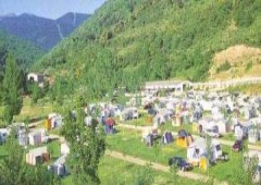 Camping Los Cameros