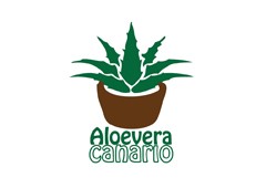 Aloe Vera Canario