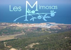Hôtel Les Mimosas