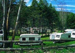 Camping Aigua D'ora 