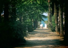 Camping Los Pinos