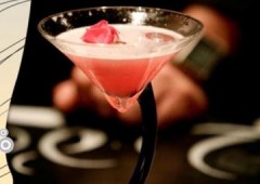 Talen Cocktails & Show