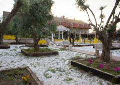 Apartahotel Las Olivas