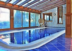 Las Rozas Deluxe