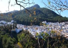 Casas Rurales Los Algarrobales