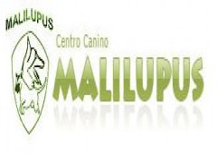Residencia Canina Malilupus