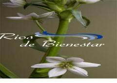 Rios De Bienestar 