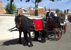 Carruajes De Caballos Monistrol 