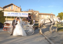 Les Attelages du Château