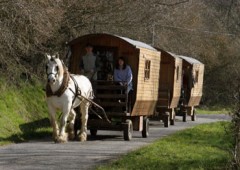 Les Roulottes du Pradal