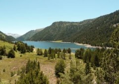 La Bergerie