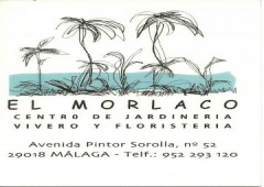 El Morlaco