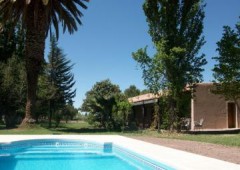 Cavieres Wine Farm