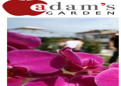 Adam's Garden B & B