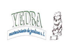Yedra Floristeria
