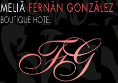 Hotel Melia Boutique Fernan Gonzalez