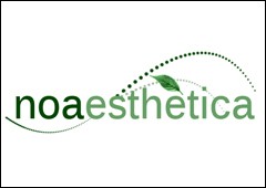 Noaesthetica