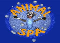 Animal Spa 