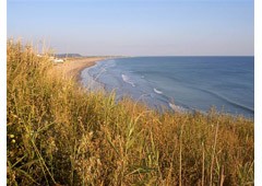 Las Calas De Conil