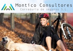 Montico Consultores Correduria De Seguros, S.l