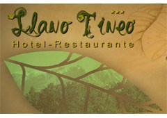 Hotel Restaurante Lllano Tineo ***
