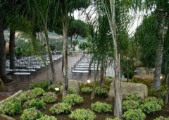 Can Jonc Events