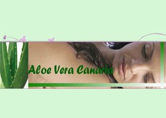 Aloe Vera Canarias 