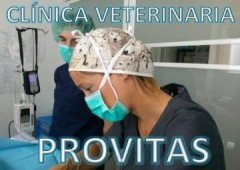 Clinica Veterinaria Provitas
