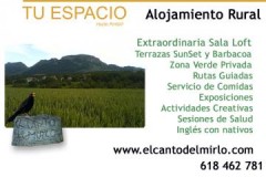 El Canto Del Mirlo