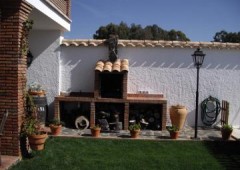 El Olivo Del Moreno